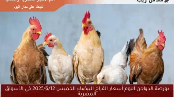 بورصة الدواجن اليوم أسعار الفراخ البيضاء الخميس 2025/6/12 في الأسواق المصرية