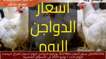 “اقل سعر النهاردة” بورصة الدواجن اليوم أسعار الفراخ البيضاء اليوم الاحد 1 يونيو 2025 في الأسواق المصرية