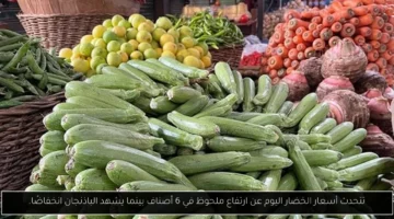 تتحدث أسعار الخضار اليوم عن ارتفاع ملحوظ في 6 أصناف بينما يشهد الباذنجان انخفاضًا.