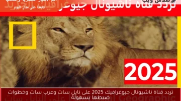عالم الطبيعة.. تردد قناة ناشيونال جيوغرافيك 2025 على نايل سات وعرب سات