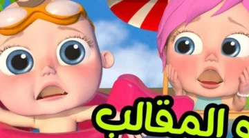 خلاص مفيش زهق.. وناسة رجعت بأغاني وفعاليات هتبسط الصغير والكبير في البيت