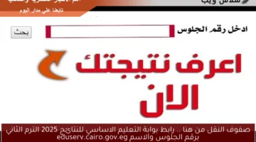 صفوف النقل من هنا .. رابط بوابة التعليم الاساسي للنتائج 2025 الترم الثاني برقم الجلوس والاسم eduserv.cairo.gov.eg
