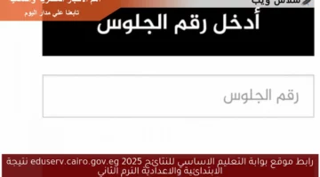 رابط موقع بوابة التعليم الاساسي للنتائج 2025 eduserv.cairo.gov.eg نتيجة الابتدائية والاعدادية الترم الثاني