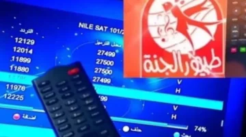 شغل قناة طيور الجنة بالتردد الجديد 2025 وخلي أولادك يفرحوا بأجمل الأناشيد والكرتون طول اليوم بدون تقطيع ولا تشويش