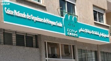 أكمل معلوماتك الآن.. تسجيل في كنوبس المغرب 2025 والمتطلبات اللازمة بنقرة واحدة