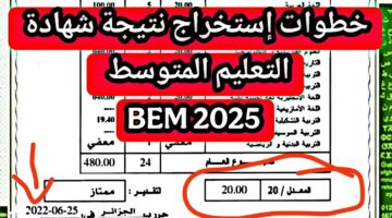 لينك نتائج شهادة التعليم المتوسط 2025 البيام من الديوان الوطني للامتحانات والمسابقات