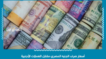 تحديث مستمر.. أسعار صرف الجنيه المصري مقابل العملات الأجنبية اليوم الثلاثاء 3-6-2025