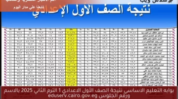 بوابه التعليم الاساسي نتيجة الصف الأول الاعدادي 1 الترم الثاني 2025 بالاسم ورقم الجلوس eduserv.cairo.gov.eg