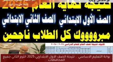 بوابة التعليم الاساسي .. نتيجة الصف الاول الابتدائي 2025 الترم الثاني جميع المحافظات