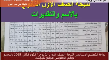 بوابة التعليم الاساسي نتيجة الصف الاول الثانوي 1 الترم الثاني 2025 بالاسم ورقم الجلوس موقع نتيجتك
