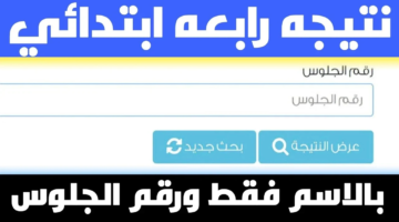 برقم الجلوس.. نتيجة الصف الرابع الابتدائي 2025 الترم الثاني عبر بوابة التعليم الأساسي