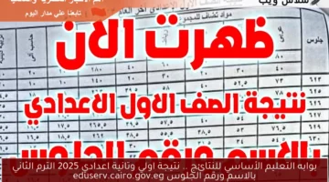 بوابه التعليم الأساسي للنتائج .. نتيجة اولي وتانية اعدادي 2025 الترم الثاني بالاسم ورقم الجلوس eduserv.cairo.gov.eg