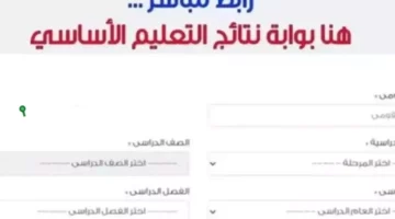 اعرفي نتايج ولادك برقم الجلوس.. وزارة التربية والتعليم تعلن اعتماد نتائج صفوف النقل للمرحلة الابتدائية وتطرح رابط الاستعلام