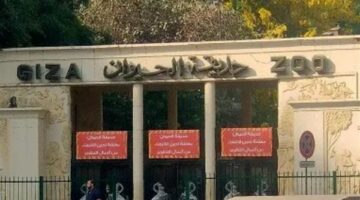 موعد أفتتاح حديقة الحيوان بالجيزة ظهور مفاجئ لحيوانات نادرة لم تدخل مصر من قبل